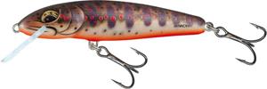 Freshwater Minnow