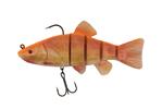 14cm SN Tench