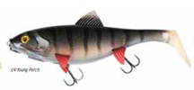 UV Young Perch