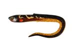Burbot