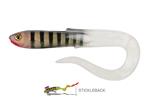 Stickleback