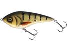 Amber Perch