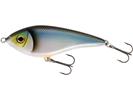Blueback Herring