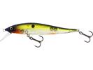 Hot Shad