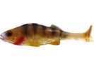 Gold Perch