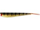Gold Perch