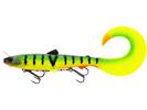 Tiger Perch