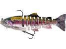 Real Rainbow Trout