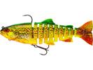 Firetiger Trout