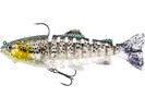 Headlight Deluxe Trout