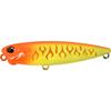ACC3113 Neon Tiger