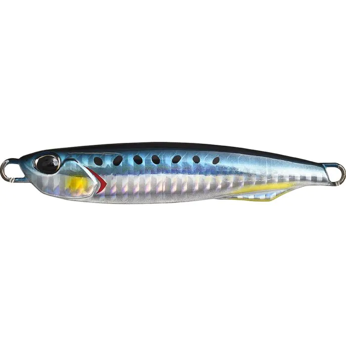 Sardine