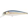 MS American Shad