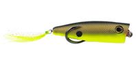 Chartreuse Shad