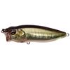 FA Bass