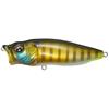 Wild Gill