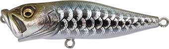 Dragon Fish Silver