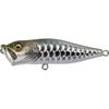 Dragon Fish Silver