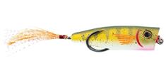 Yellow Perch