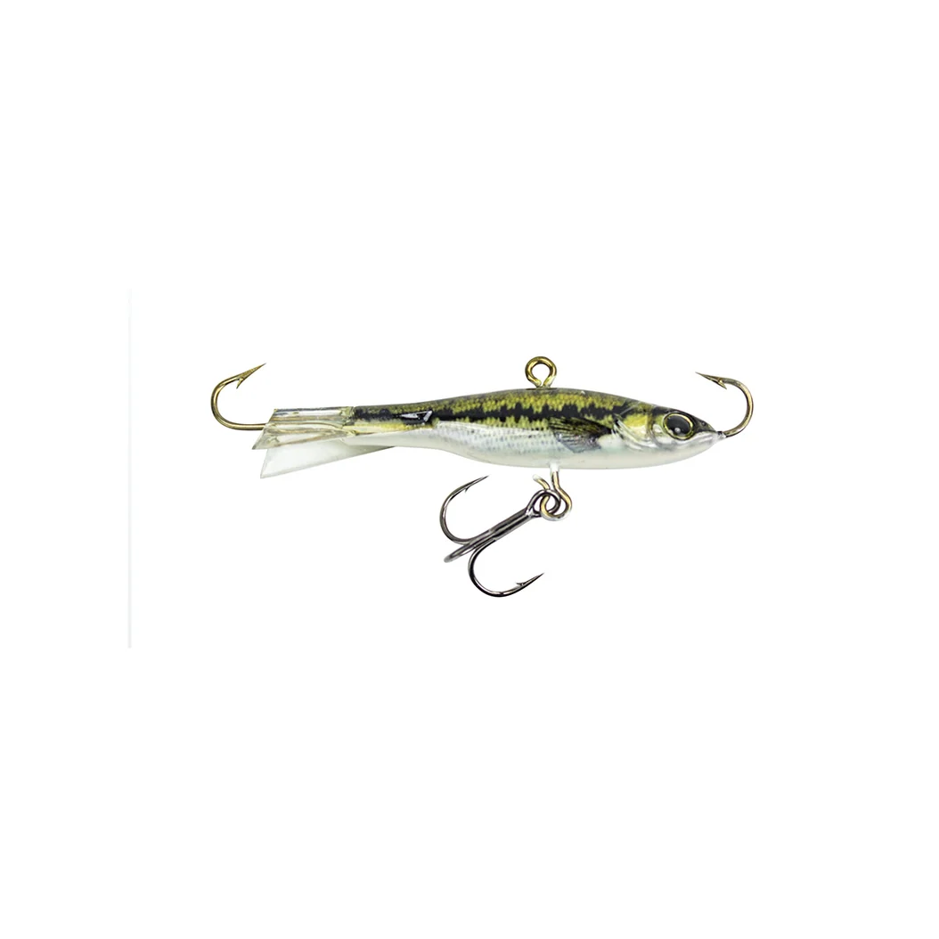 25g Bass