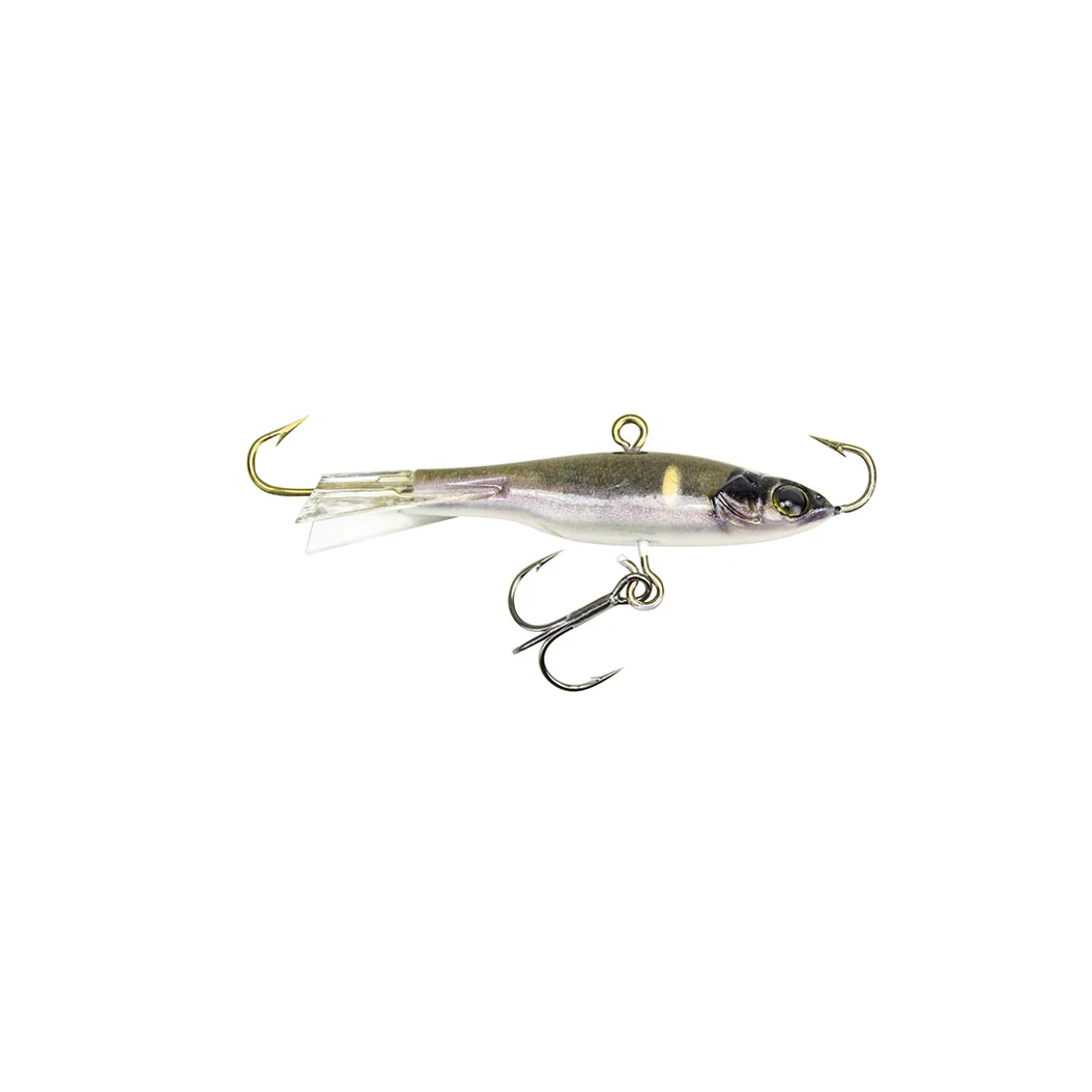 14g Common Shiner