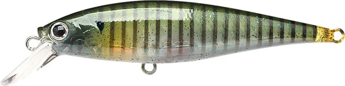 Ghost Baby Bluegill