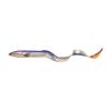 Purple Eel