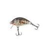 Floating Holo Stickleback