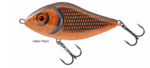 Copper Roach