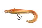 SN Albino Catfish
