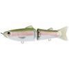#06 Rainbow Trout