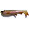 WC019 Rainbow Trout