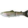 Rainbow Trout