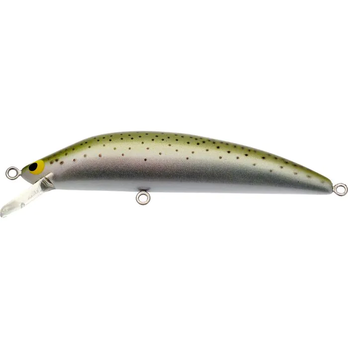 Rainbow Trout