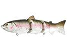 Rainbow Trout
