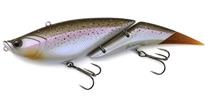 Rainbow Trout