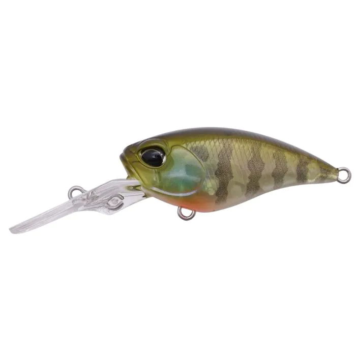 CCC3158 Ghost Gill