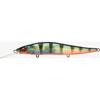 Redfin Perch
