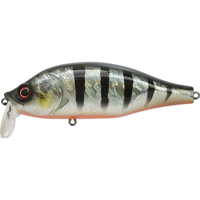 Red Fin Perch