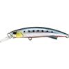 Sardine RB