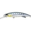 Sardine