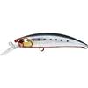 CSB0054 Genkai Sardine