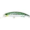 Mackerel