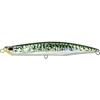 Mackerel