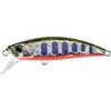 Yamame Red Belly
