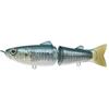 #15 Sardine