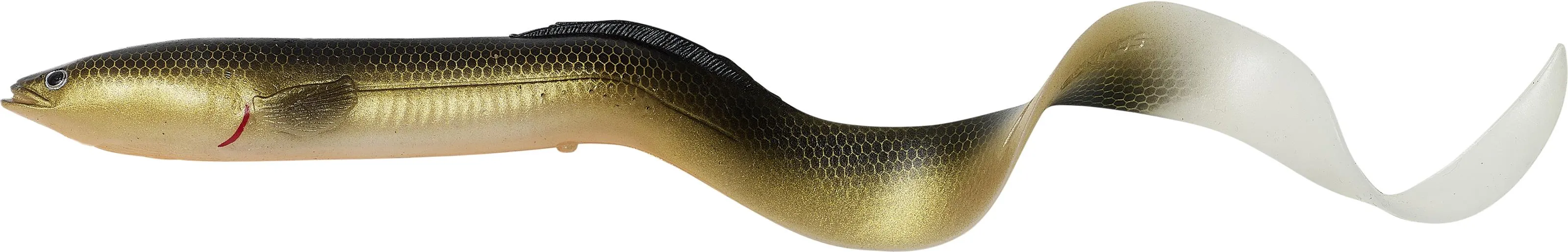 Dirty Eel