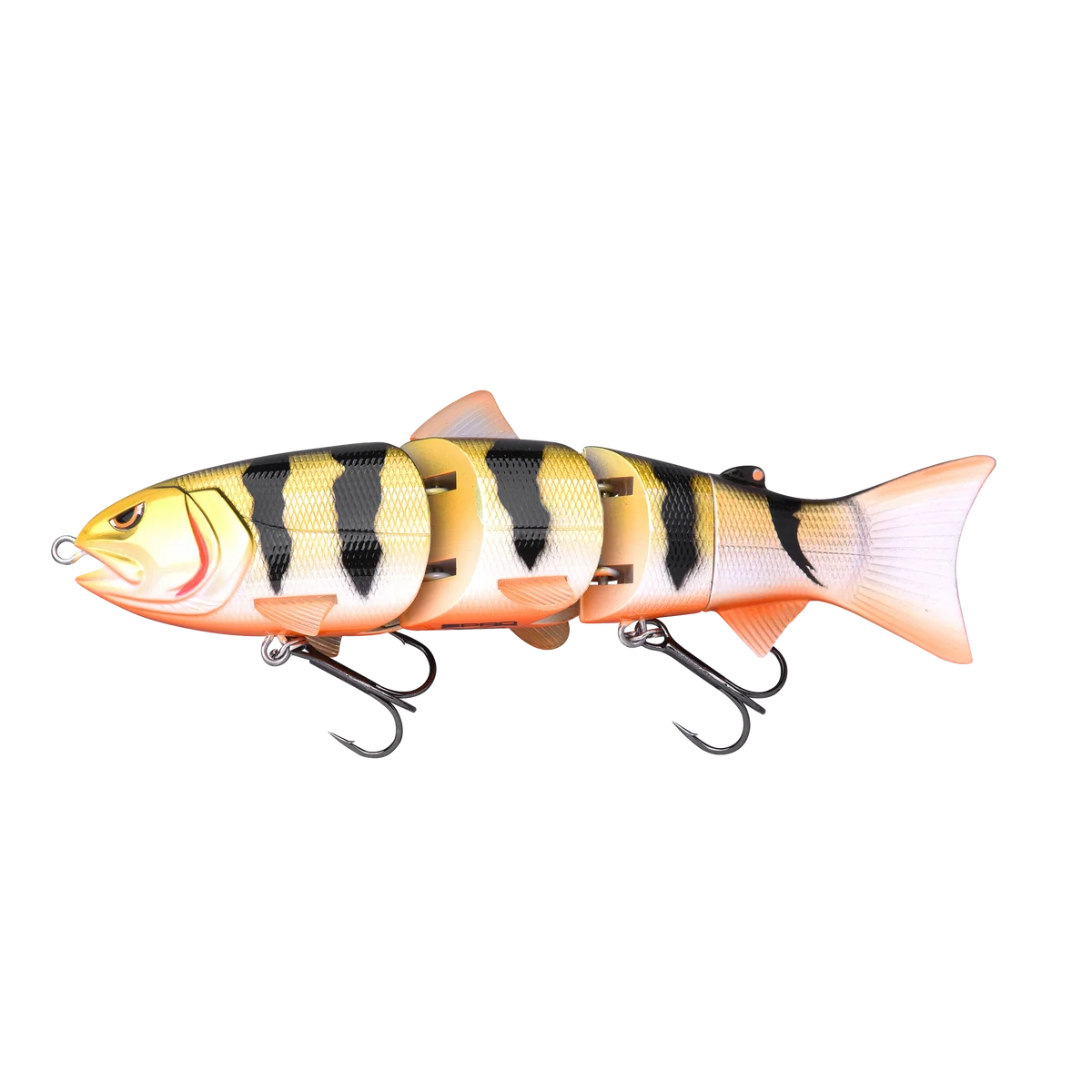 Gold Perch