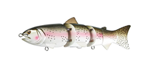 Rainbow Trout