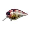 Shiny Gill